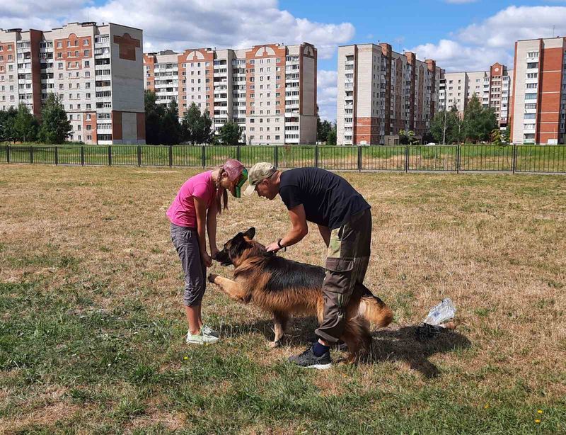 Там на неведомых дорожках сказка текст